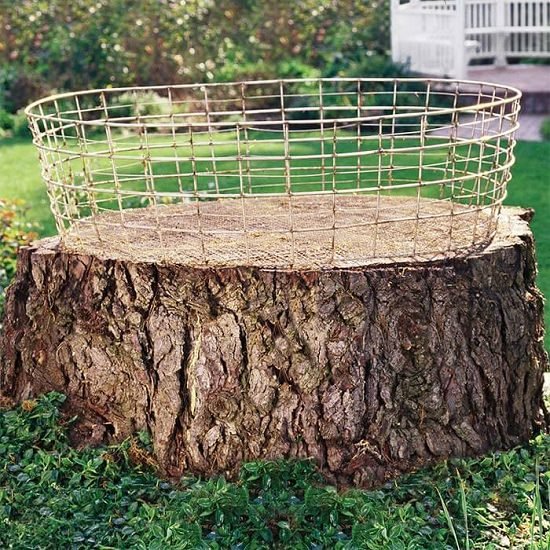 Creative Things to Do with Tree Stumps 5