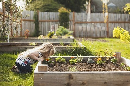What Are Raised Beds