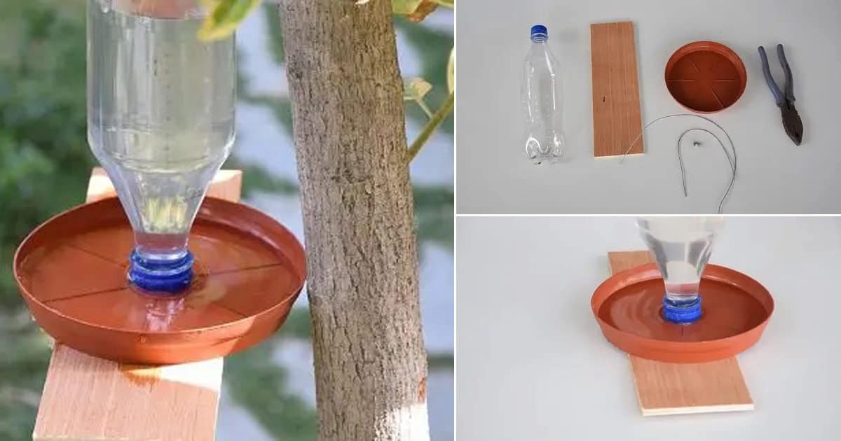 How to Make Hanging Bird Water Feeder, DIY Water Bottle Bird Feeder