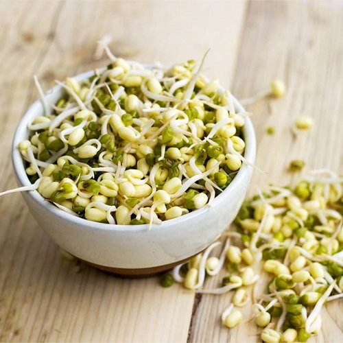 bean sprout Seeds from Fridge/Pantry