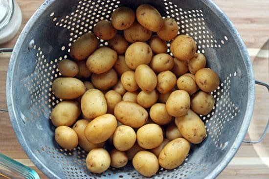 Growing Potatoes Indoors 2