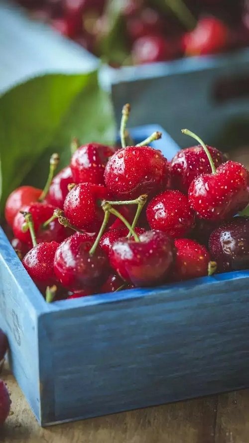 cherry Seeds from Fridge/Pantry