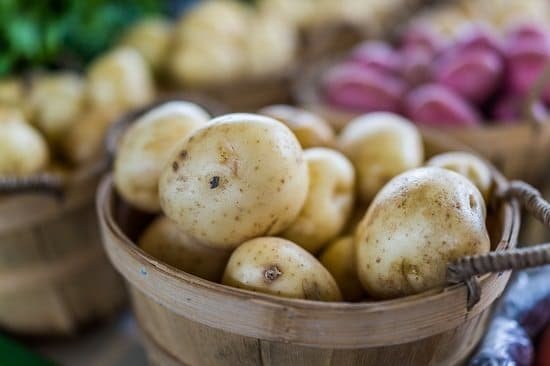 Growing Potatoes Indoors 4