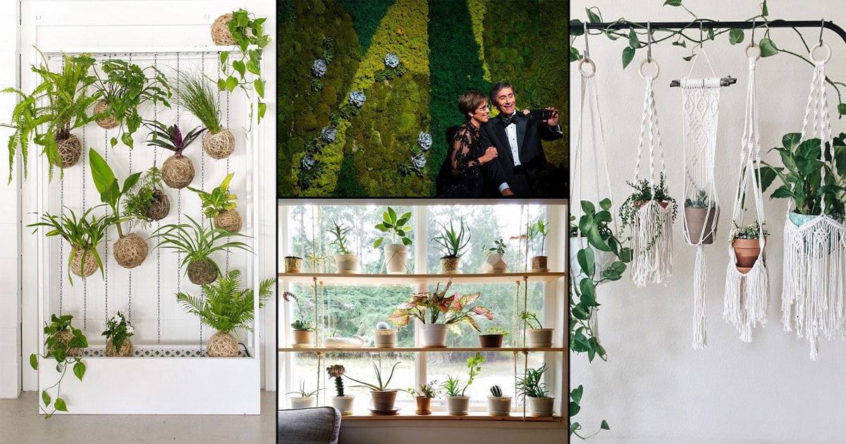 How to Design Best Indoor Selfie Space with Plants