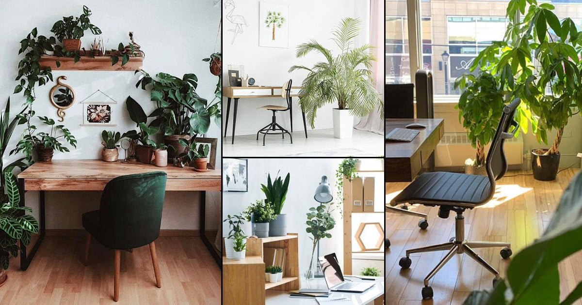 40 Relaxing Green Office Décor Ideas | Green office decor, Office interior  design, Modern office interiors
