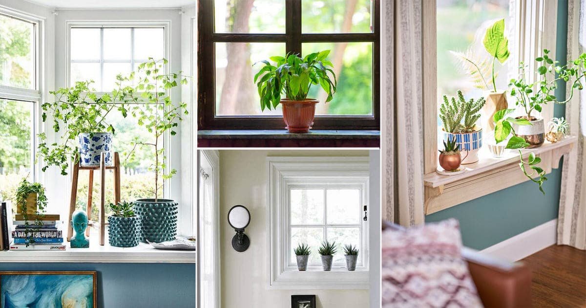 30 Windowsill Decor Ideas with Plants | Balcony Garden Web