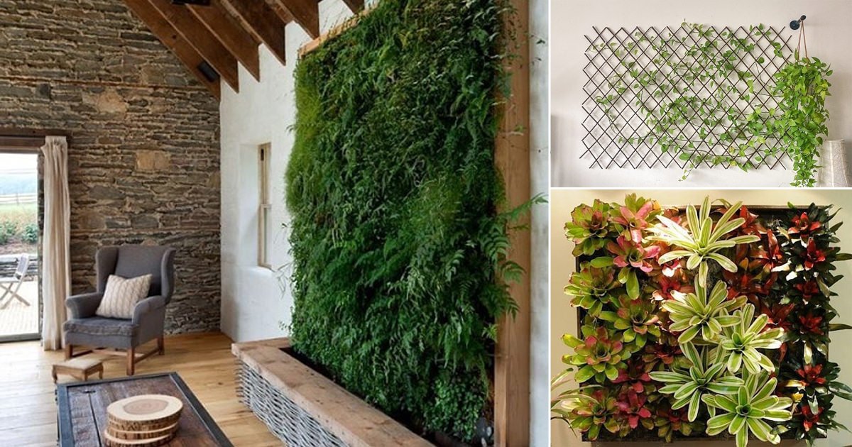 10 Perfect Plants A Vertical Wall Balcony