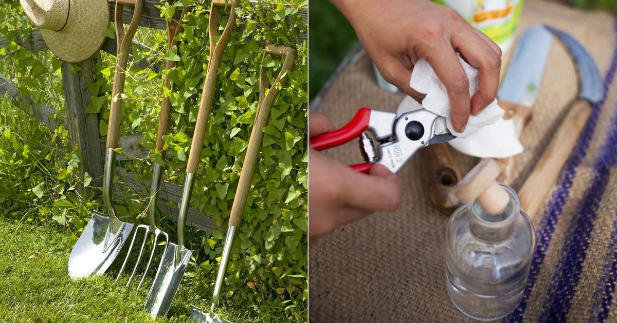 DIY Tool Cleaning Station: The Fastest Way to Clean Garden Tools