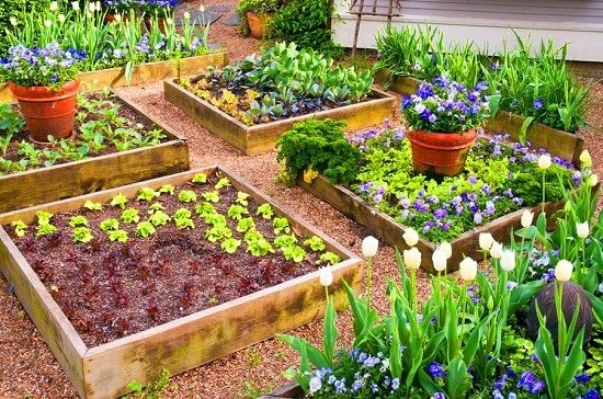 How to build off the ground garden beds