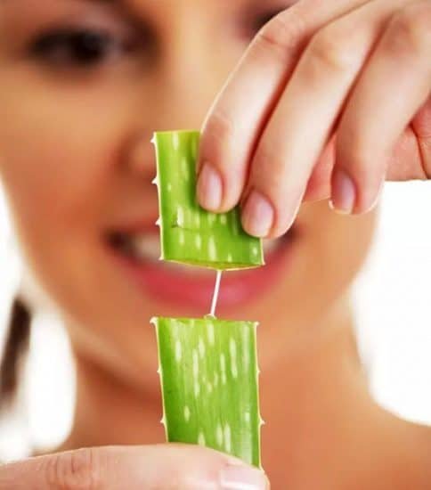 Can You Eat Aloe Vera Plant Benefits Of Eating Raw Aloe Vera 3372