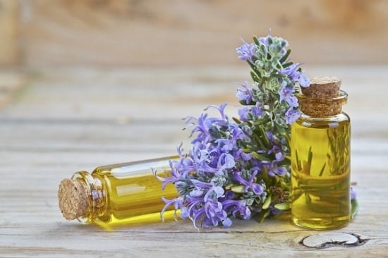 Best Essential Oils for Gardening and How to Use Them