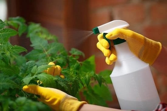 Best Essential Oils for Gardening and How to Use Them 7