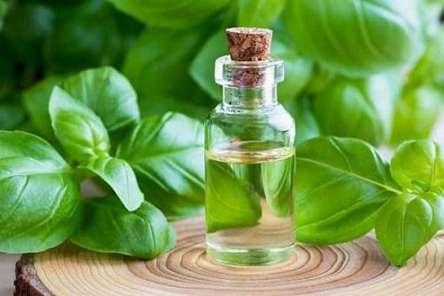 Essential Oils for Gardening 7
