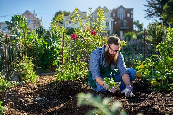 How to Grow a Survival Garden