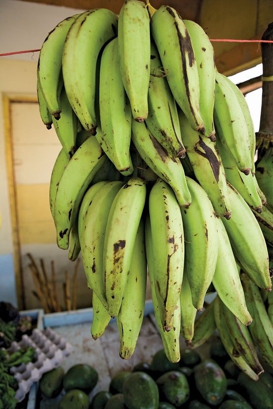 Types of Bananas 7