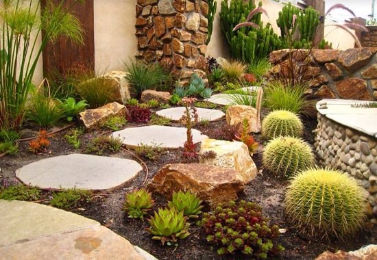 DIY Cactus Garden Ideas 6