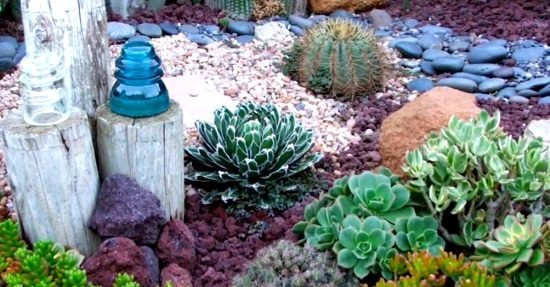 DIY Cactus Garden Ideas 3