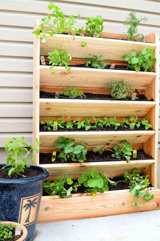 DIY Vertical Gardening Ideas