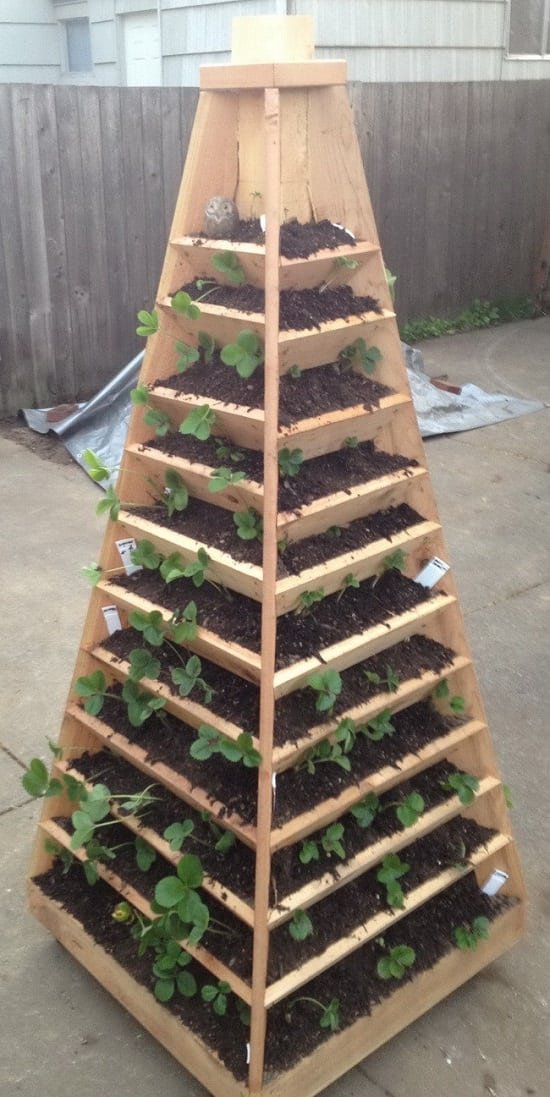 DIY Vertical Gardening Ideas 5