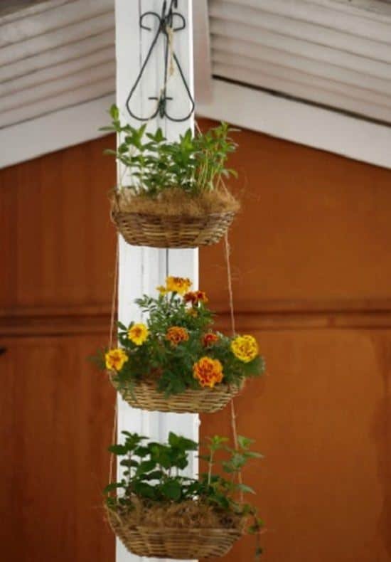 DIY Vertical Gardening Ideas 6