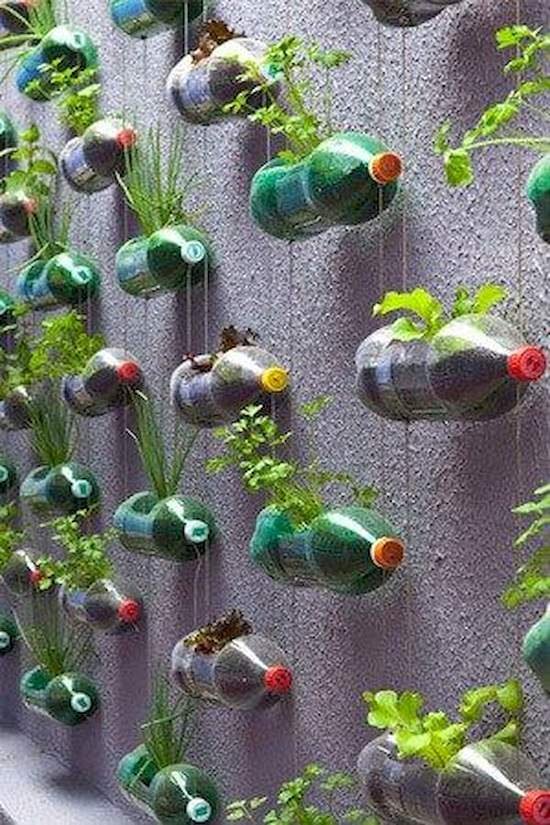 DIY Vertical Gardening Ideas 2