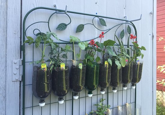 DIY Vertical Gardening Ideas 4