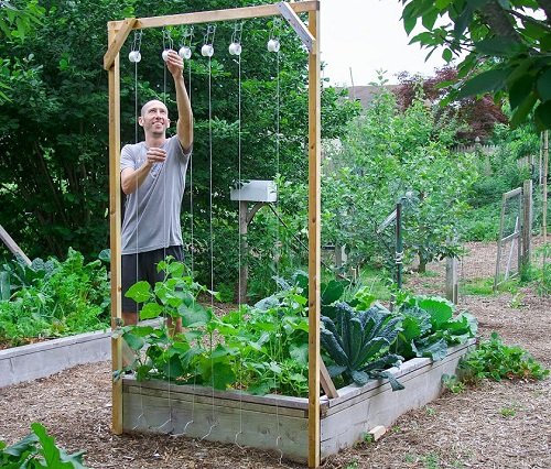 Cheap Cucumber Trellis with Just a Piece of Wood