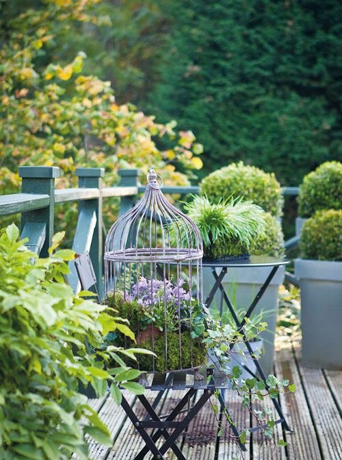 Bird Cage Balcony Garden Idea