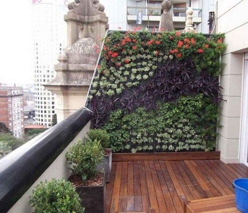 Balcony Living Wall