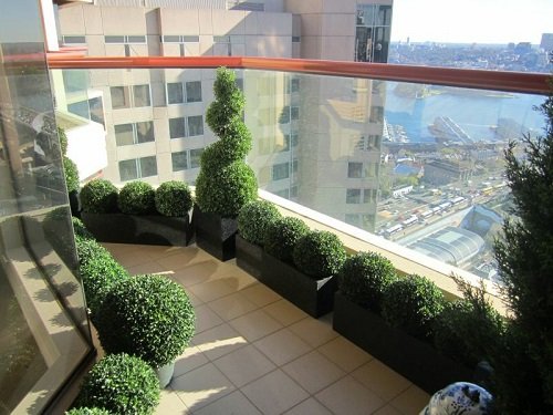 Topiary Balcony