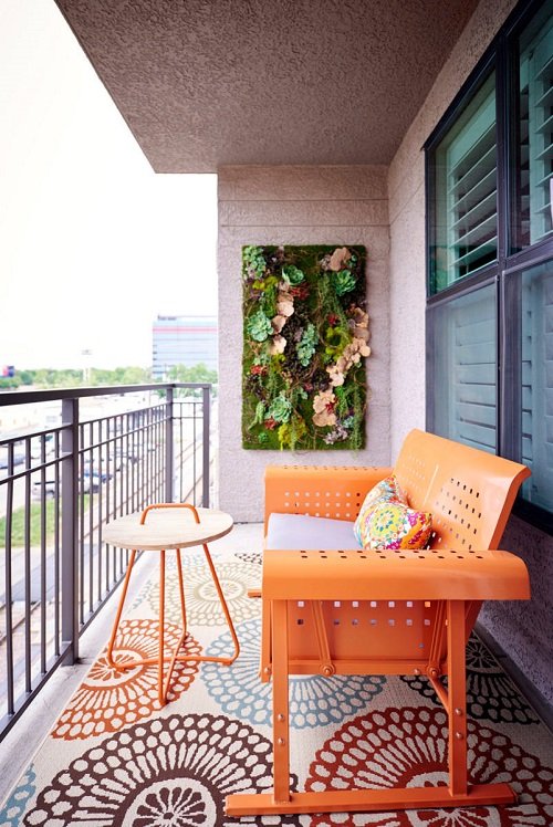Succulents Balcony Frame