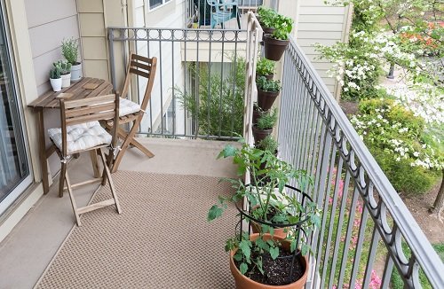 Make a Squirrel Proof Balcony Garden