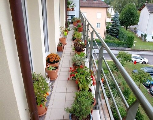 Pots in Long Balcony Passage