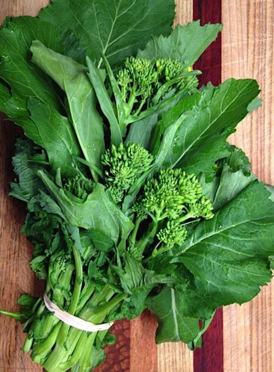 Types of Broccoli 3