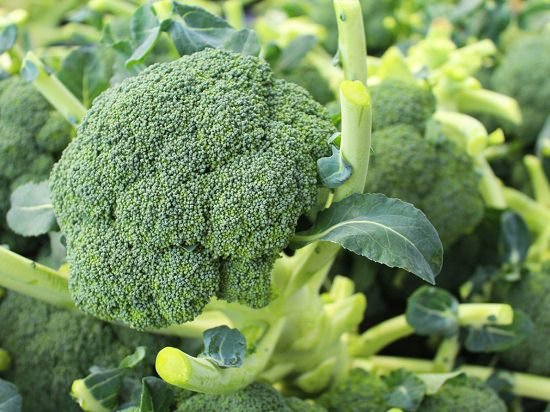 Types of Broccoli