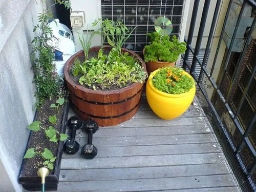 How to Build a Small Urban Garden in balcnoy