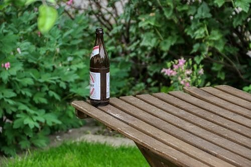Uses For Beer In the Garden
