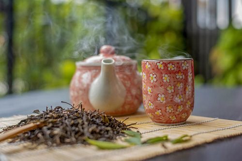 Growing Tea Leaves at Home 3