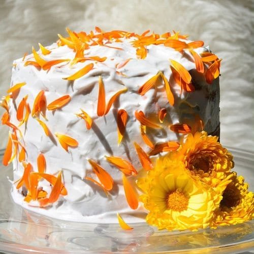 Edible Flowers for Cakes 11
