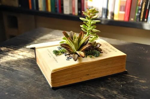 DIY Succulent Planter Ideas 18
