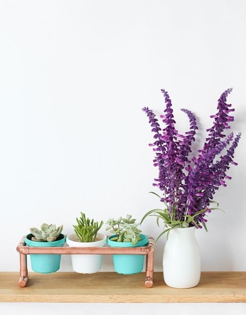 DIY Succulent Planter Ideas 20