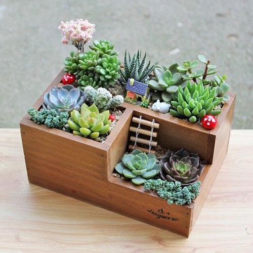 Copy these DIY Succulent Arrangement Ideas to make your home and garden more charming, modern, and eccentric.