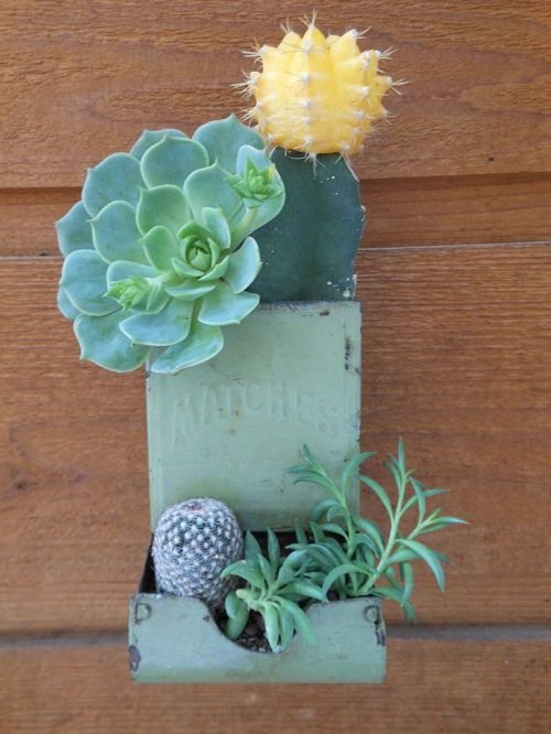 DIY Succulent Planter Ideas 25