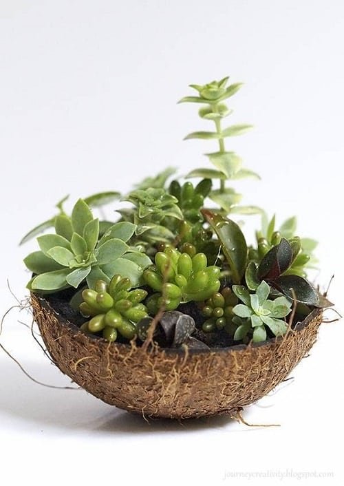 DIY Succulent Planter Ideas 29