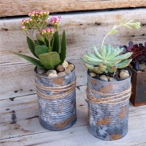DIY Succulent Planter Ideas 30