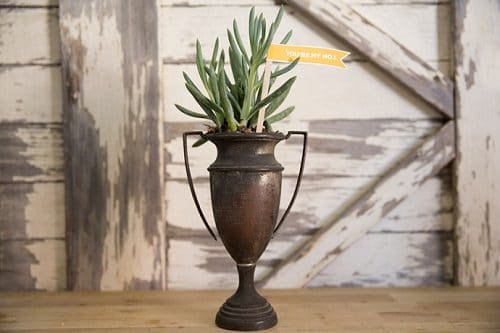 DIY Succulent Planter Ideas 33