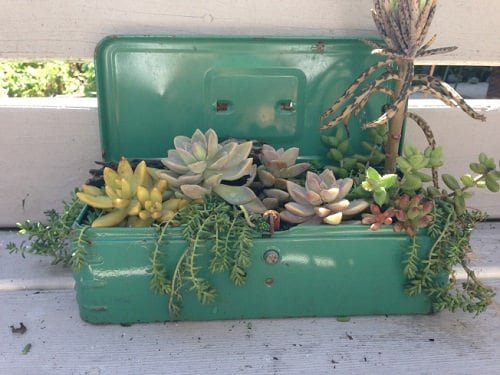 DIY Succulent Planter Ideas 36