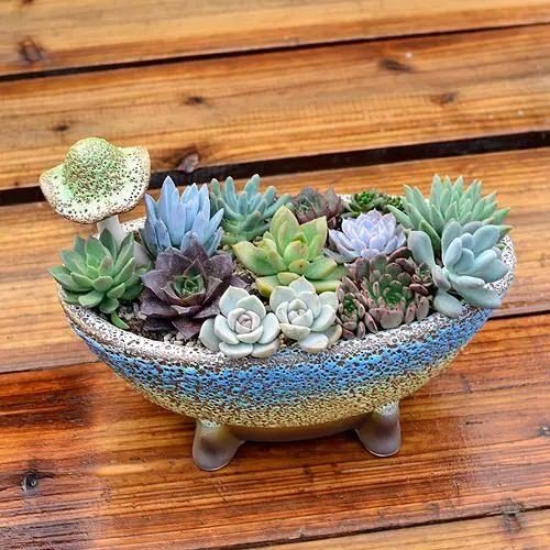 DIY Succulent Planter Ideas 37