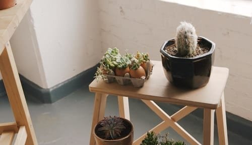 DIY Succulent Planter Ideas 42