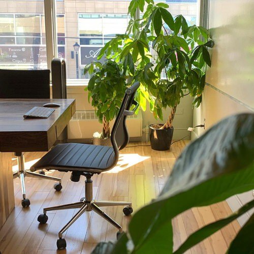 Office Plant Decor for Green Working Environment 6